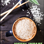 Visual Impact High Carb Fat Loss e-book cover